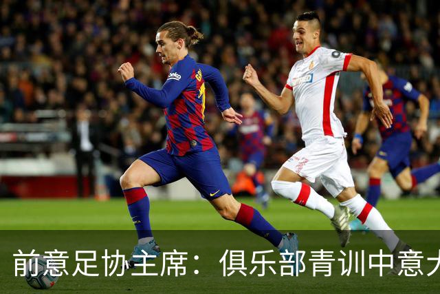 前意足协主席：俱乐部青训中意大利人只有30% 意大利本该进世界杯